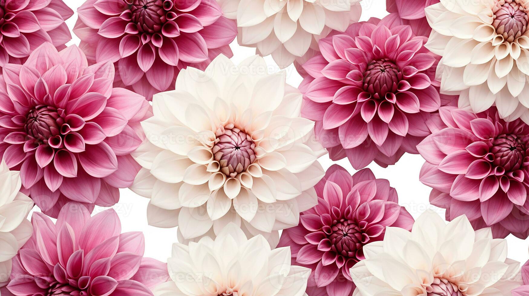 Dahlia flower patterned background. Flower texture background. Generative AI photo
