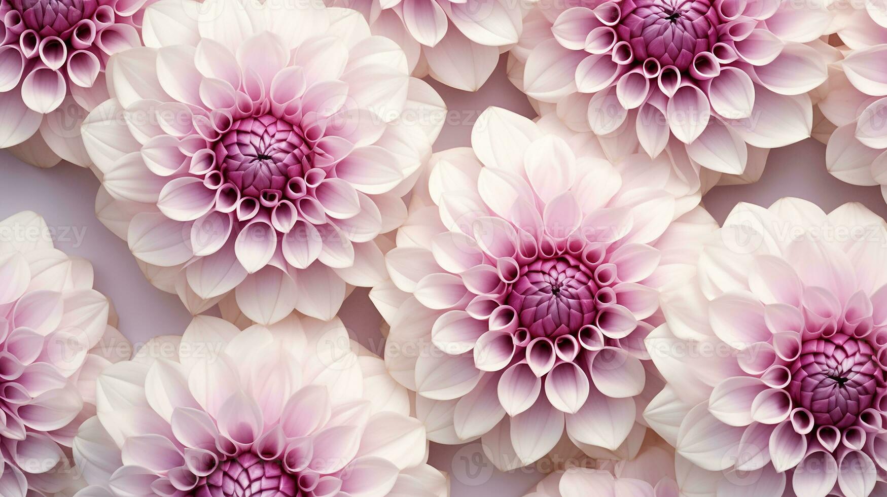 Dahlia flower patterned background. Flower texture background. Generative AI photo