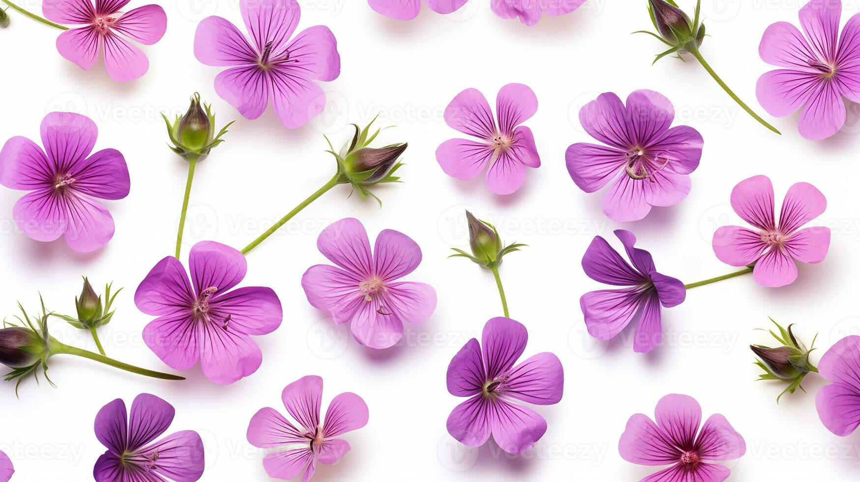 Cranesbill flower patterned background. Flower texture background. Generative AI photo