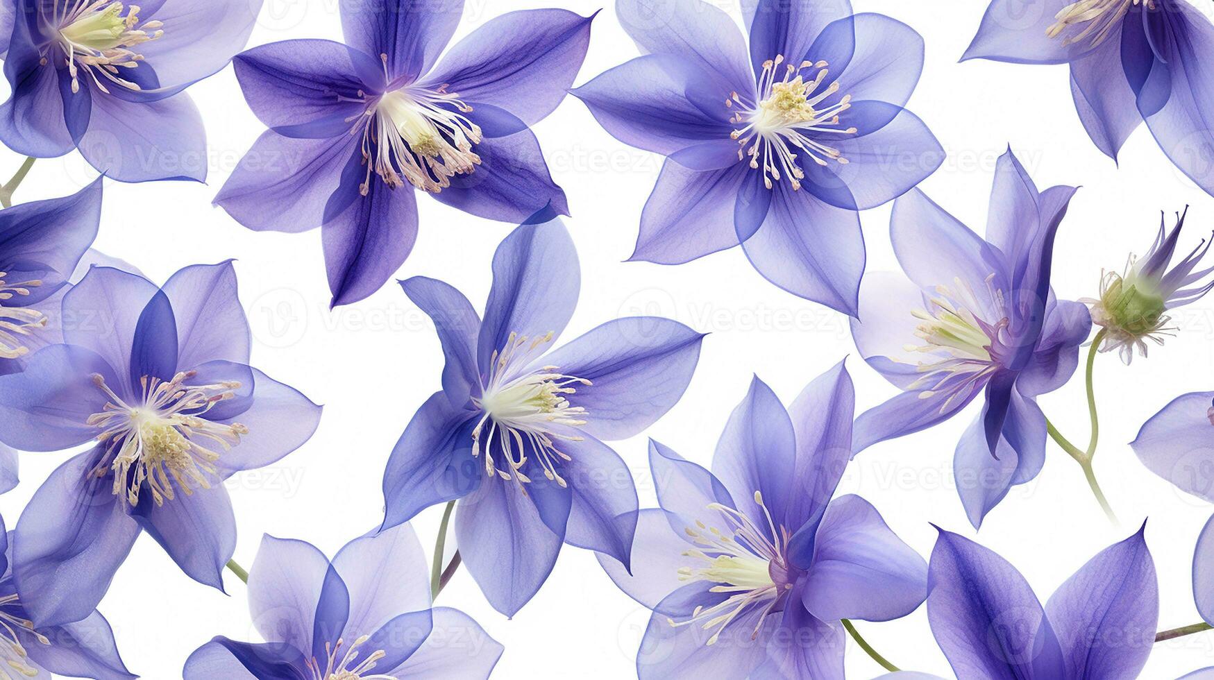 Columbine flower patterned background. Flower texture background