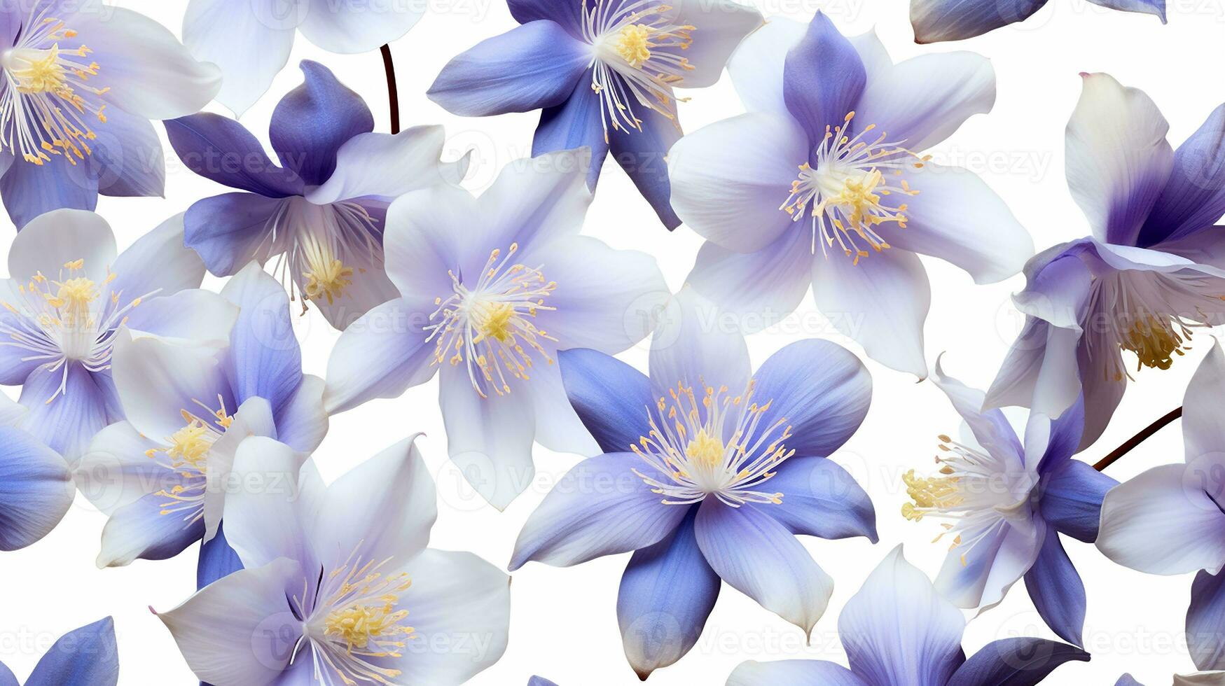 Columbine flower patterned background. Flower texture background