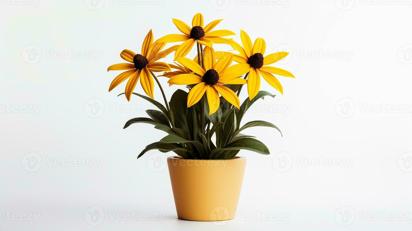 Photo of Rudbeckia flower in pot isolated on white background. Generative AI