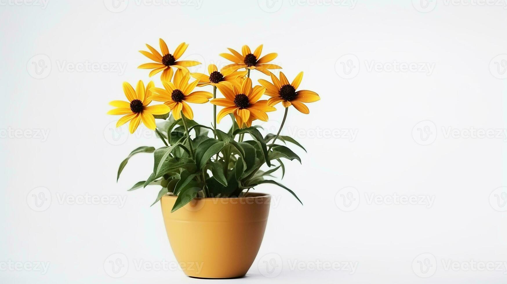 foto de Rudbeckia flor en maceta aislado en blanco antecedentes. generativo ai