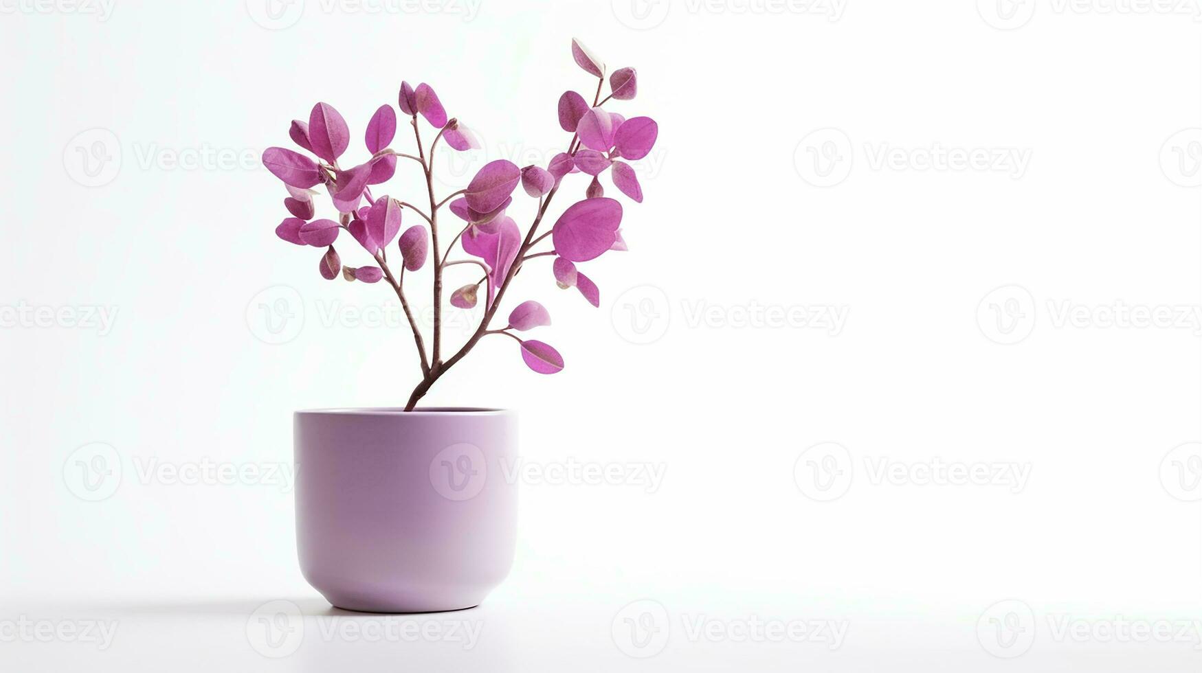 Photo of Redbud flower in pot isolated on white background. Generative AI