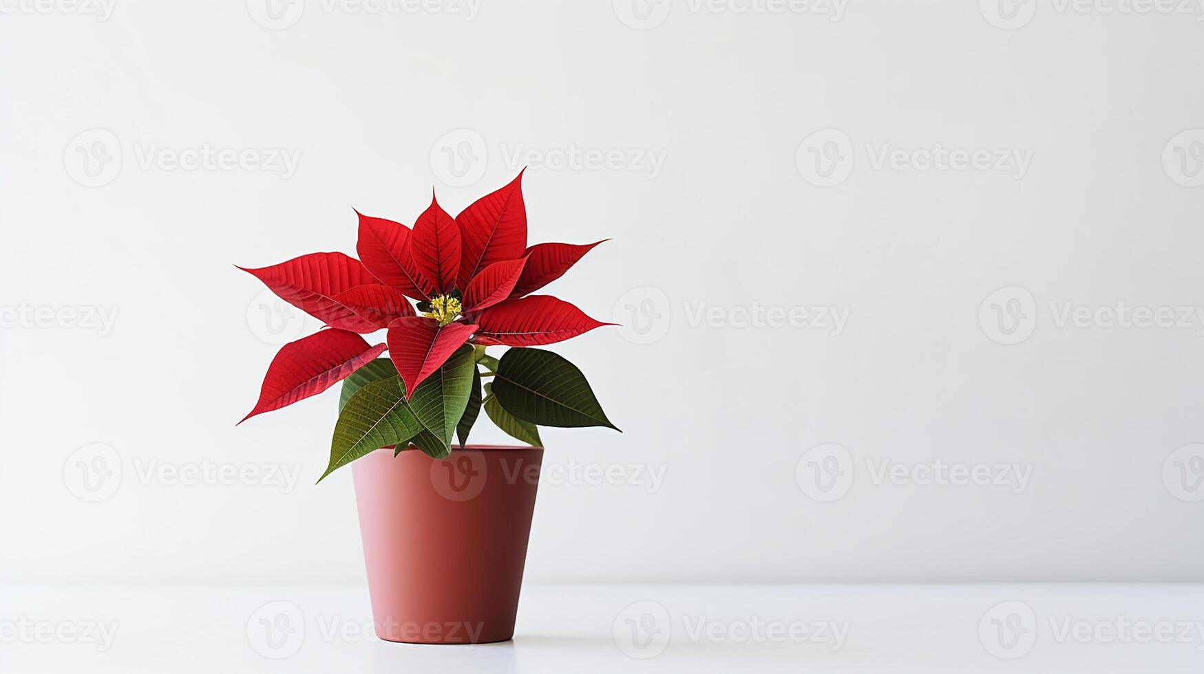 foto de flor de pascua flor en maceta aislado en blanco antecedentes. generativo ai