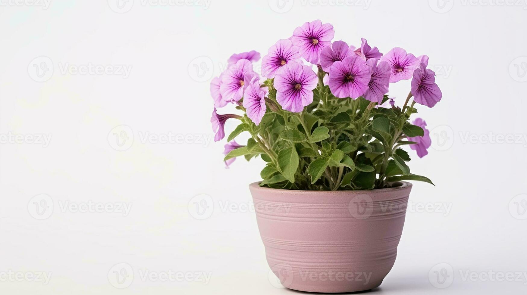 Photo of Petunia flower in pot isolated on white background. Generative AI