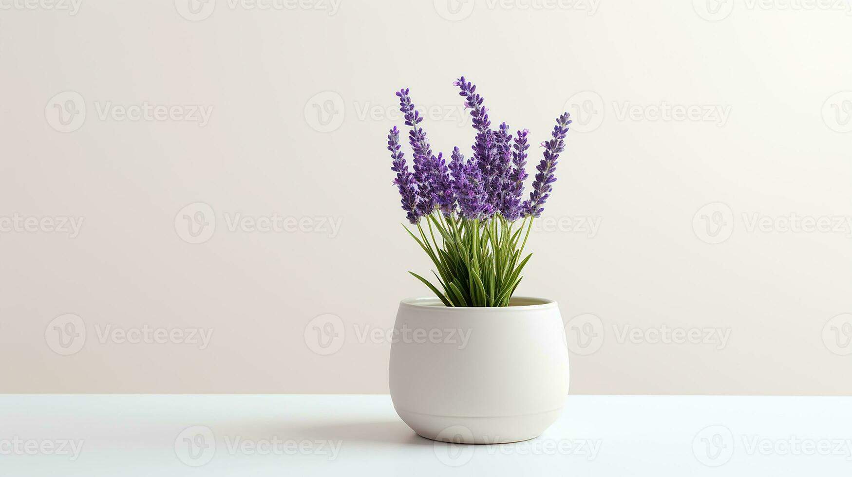 Photo of Lavender flower in pot isolated on white background. Generative AI