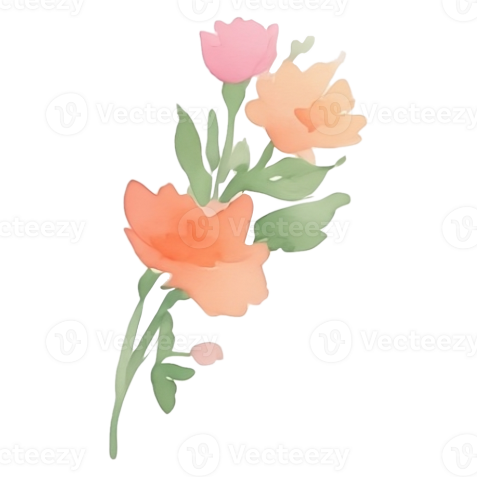 Watercolor flower pink bouquet png