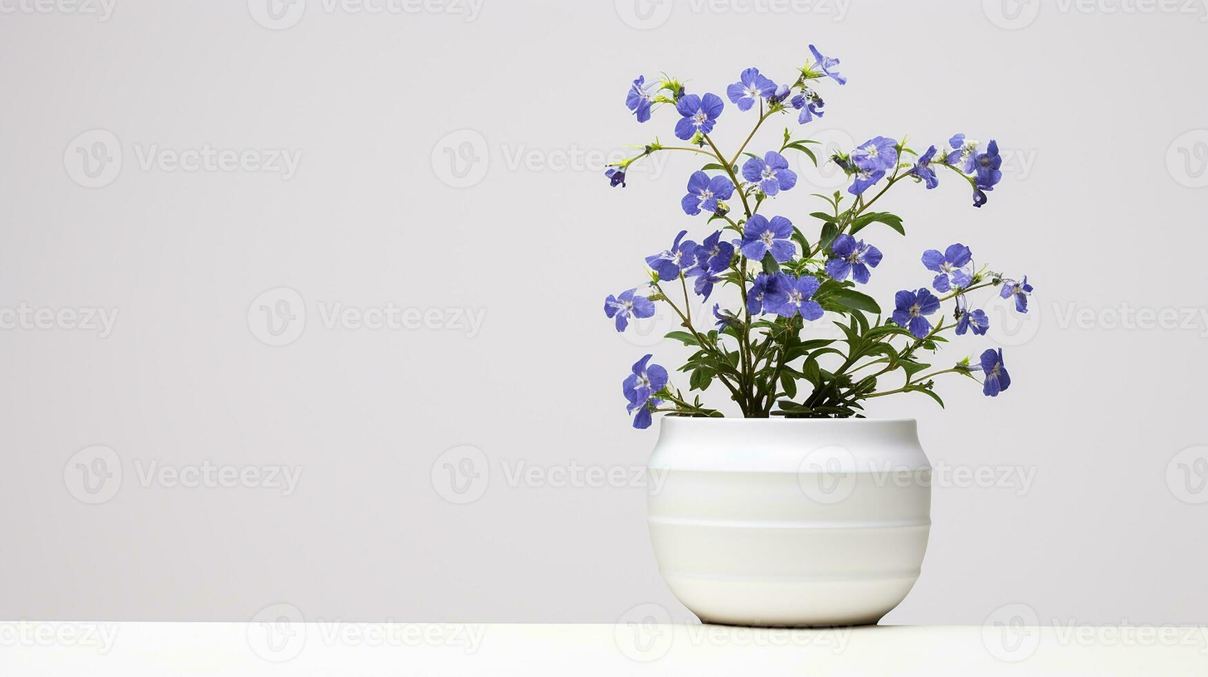 Photo of Jacobs Ladder flower in pot isolated on white background. Generative AI