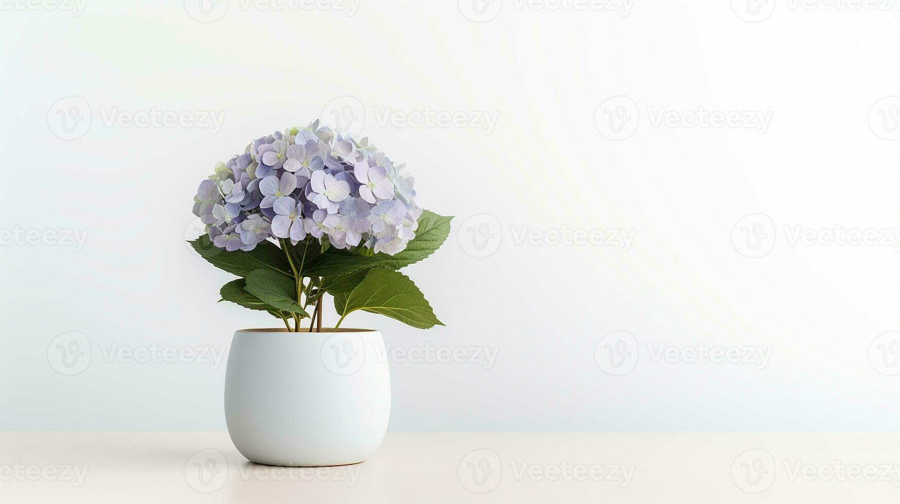 Photo of Hydrangea flower in pot isolated on white background. Generative AI