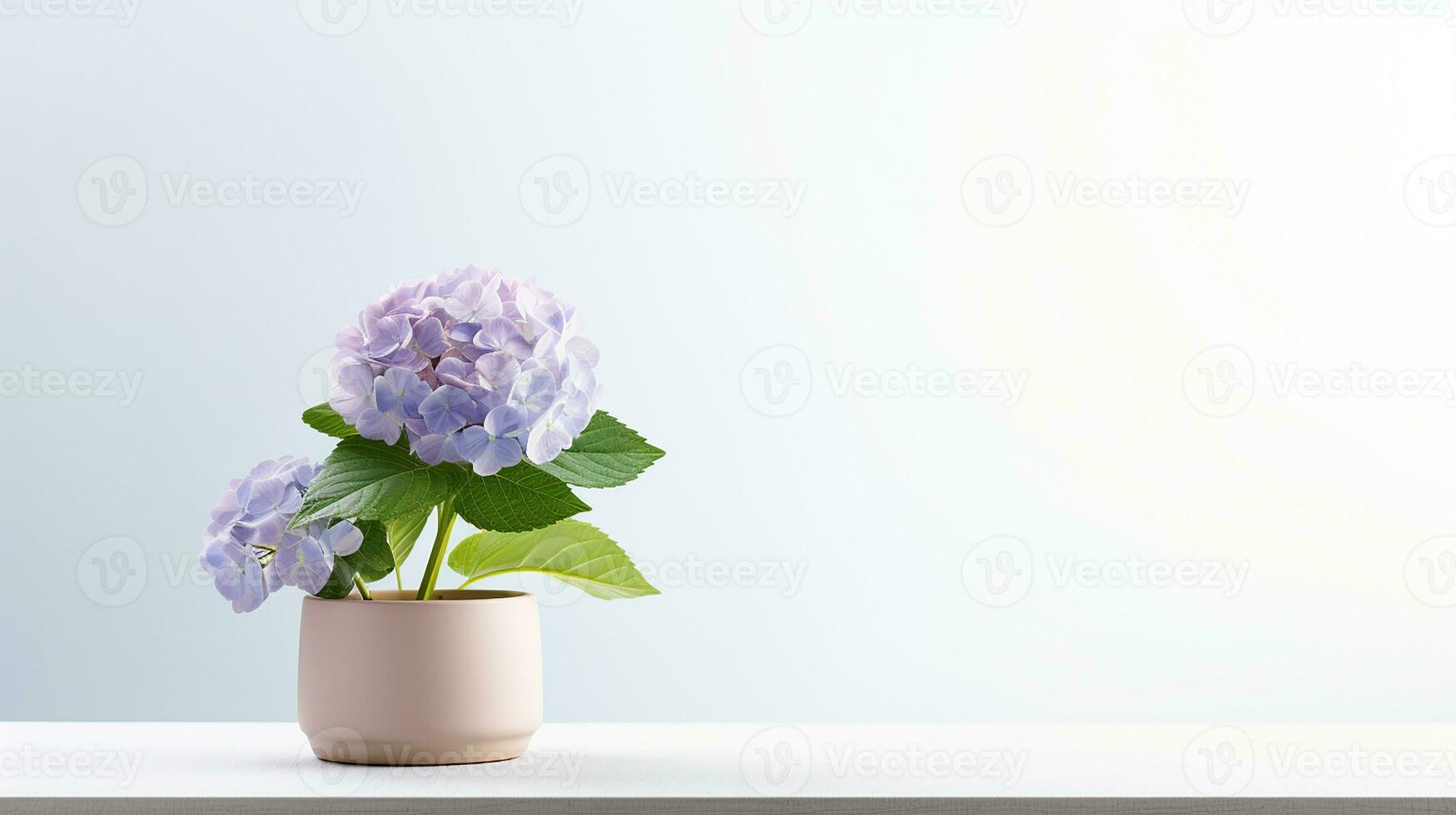 Photo of Hydrangea flower in pot isolated on white background. Generative AI