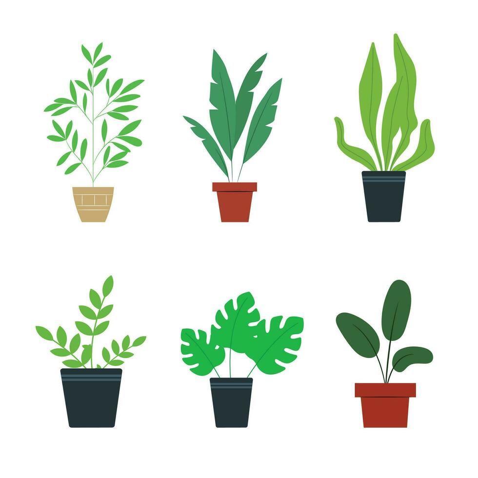 Vector organic flat houseplant collection.