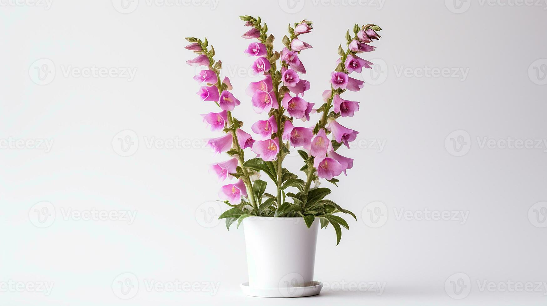Photo of Foxglove flower in pot isolated on white background. Generative AI