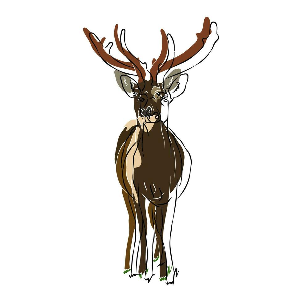 Brow-antlered deer picture, It's picture so beautiful. vector