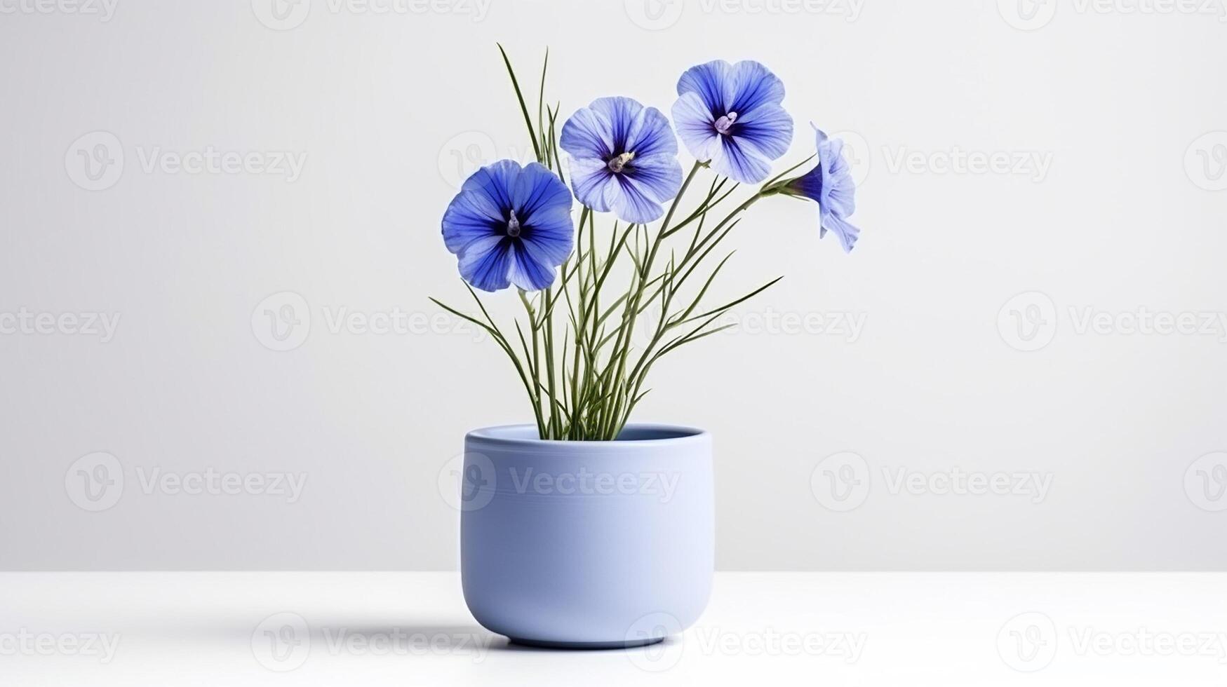 Photo of Flax flower in pot isolated on white background. Generative AI