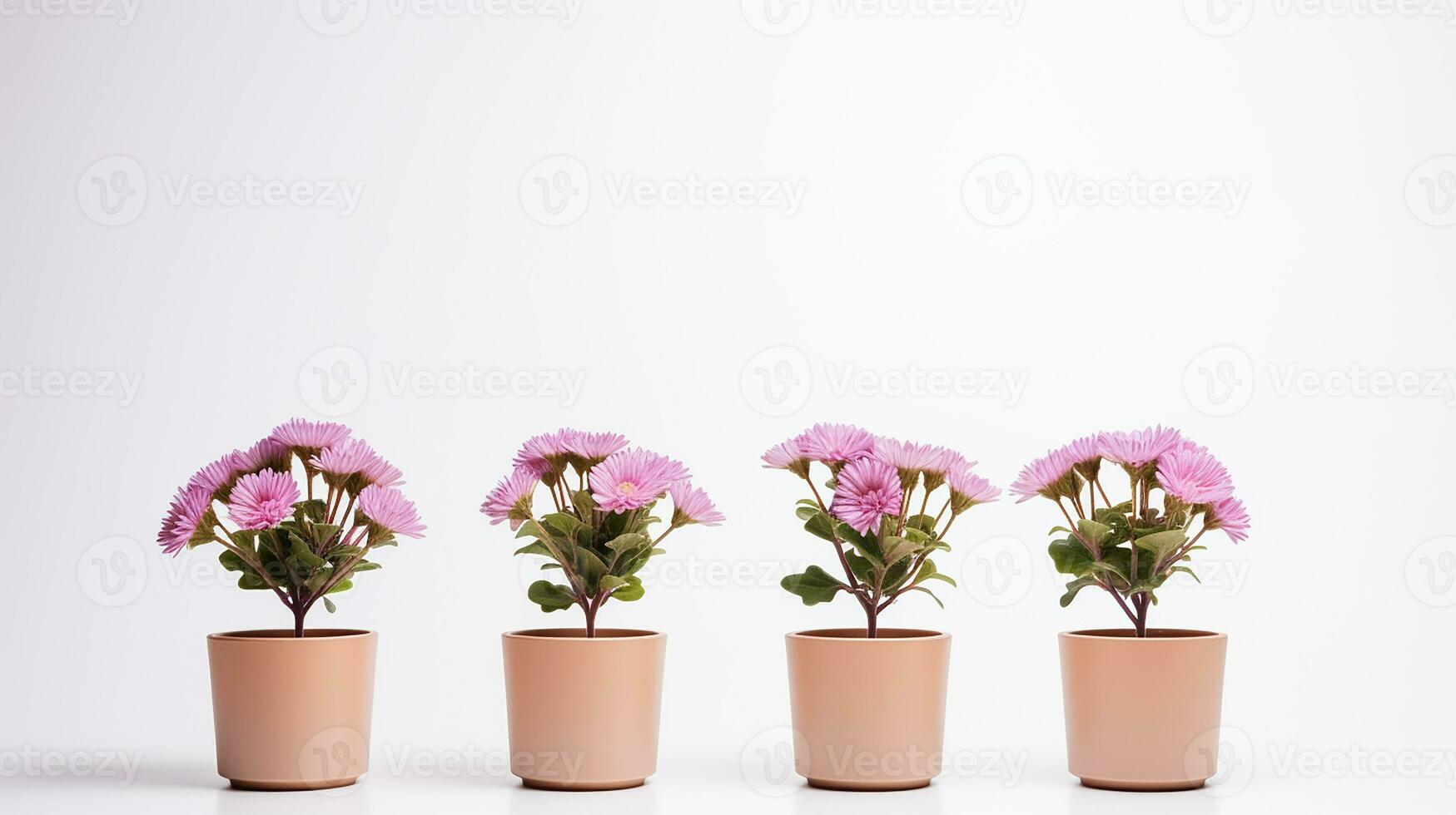 Photo of Four  flower in pot isolated on white background. Generative AI