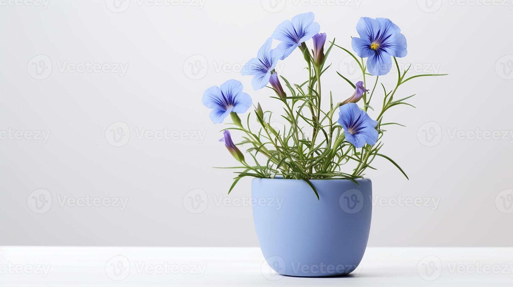 Photo of Flax flower in pot isolated on white background. Generative AI