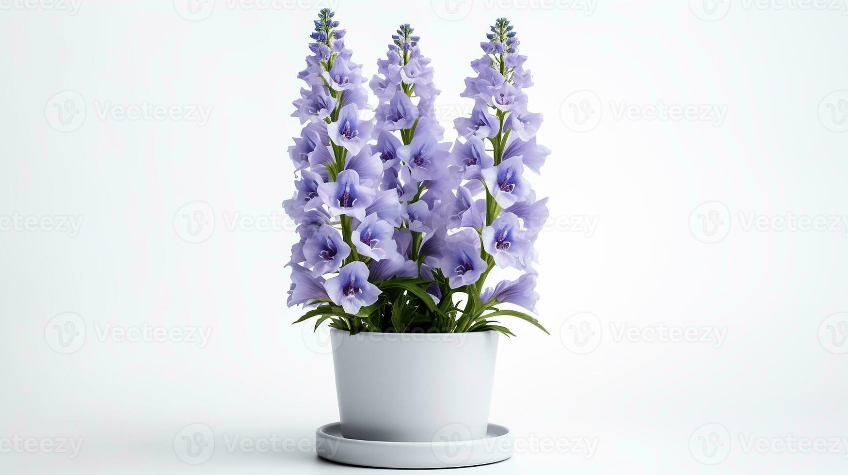 Photo of Delphinium flower in pot isolated on white background. Generative AI