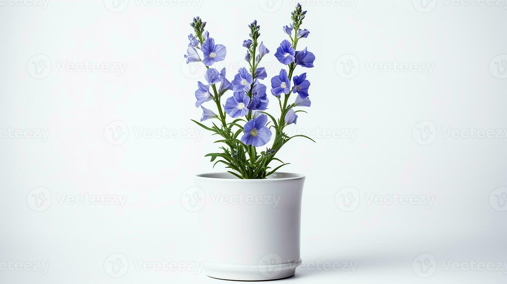 Photo of Delphinium flower in pot isolated on white background. Generative AI