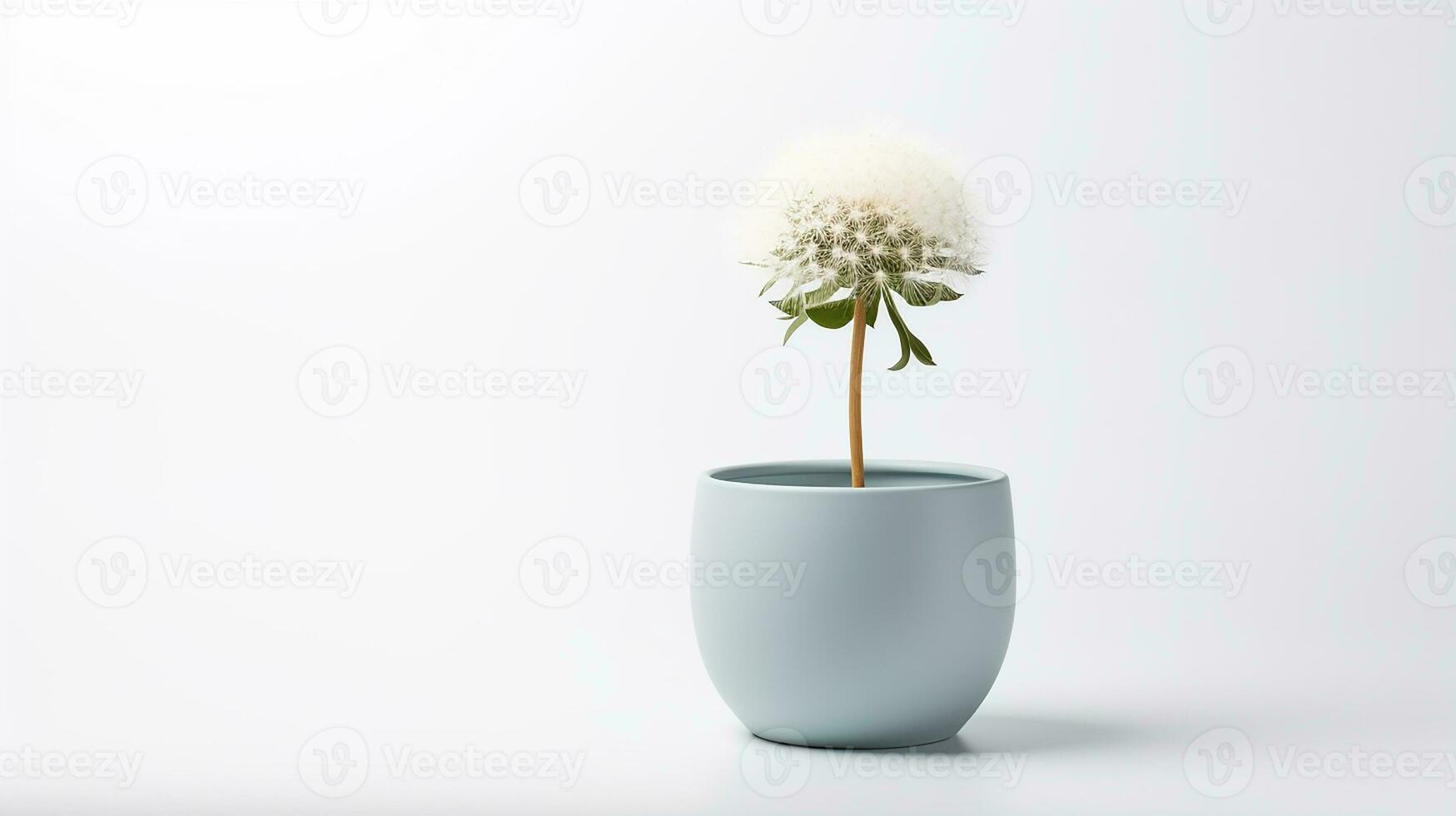 foto de diente de león flor en maceta aislado en blanco antecedentes. generativo ai