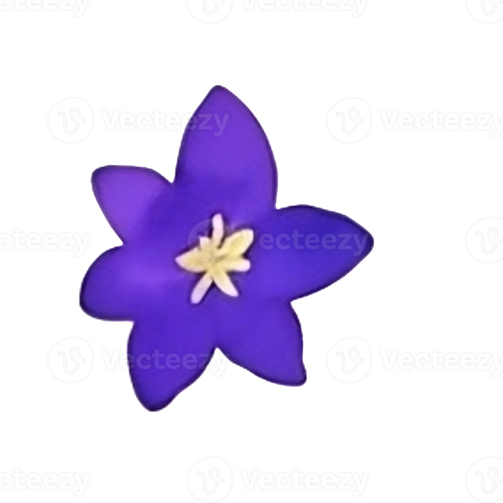 Watercolor flower head clip art 27201959 PNG