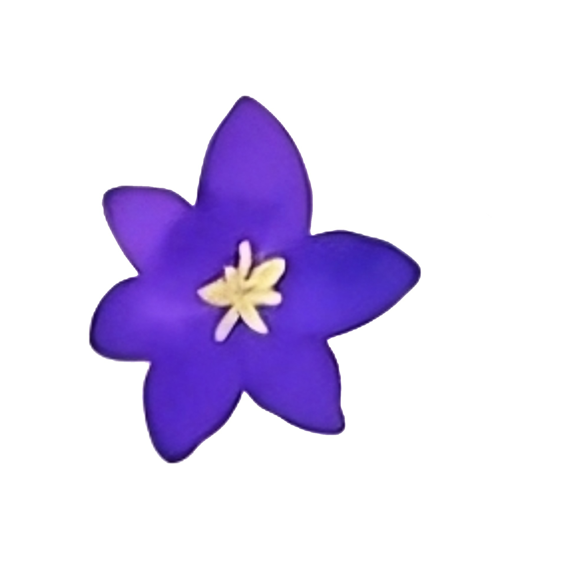 Watercolor flower head clip art 27201959 PNG