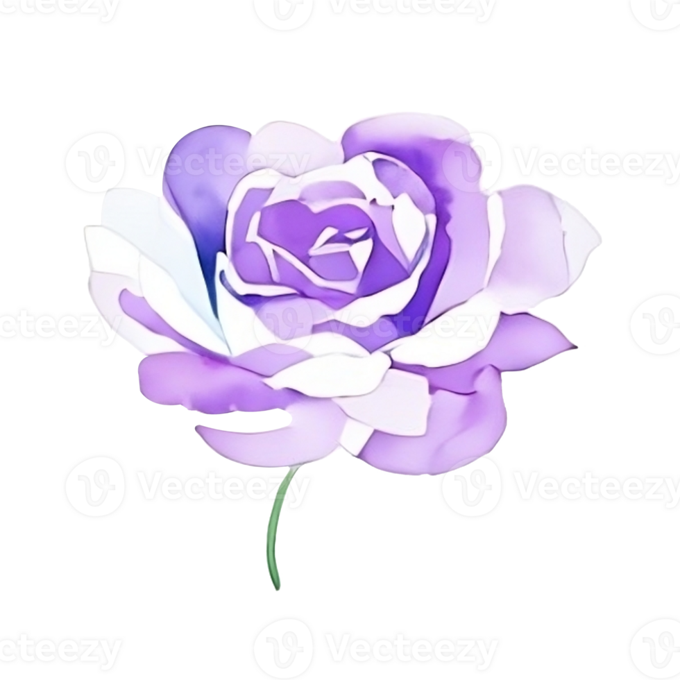 Watercolor flower head clip art 27201963 PNG