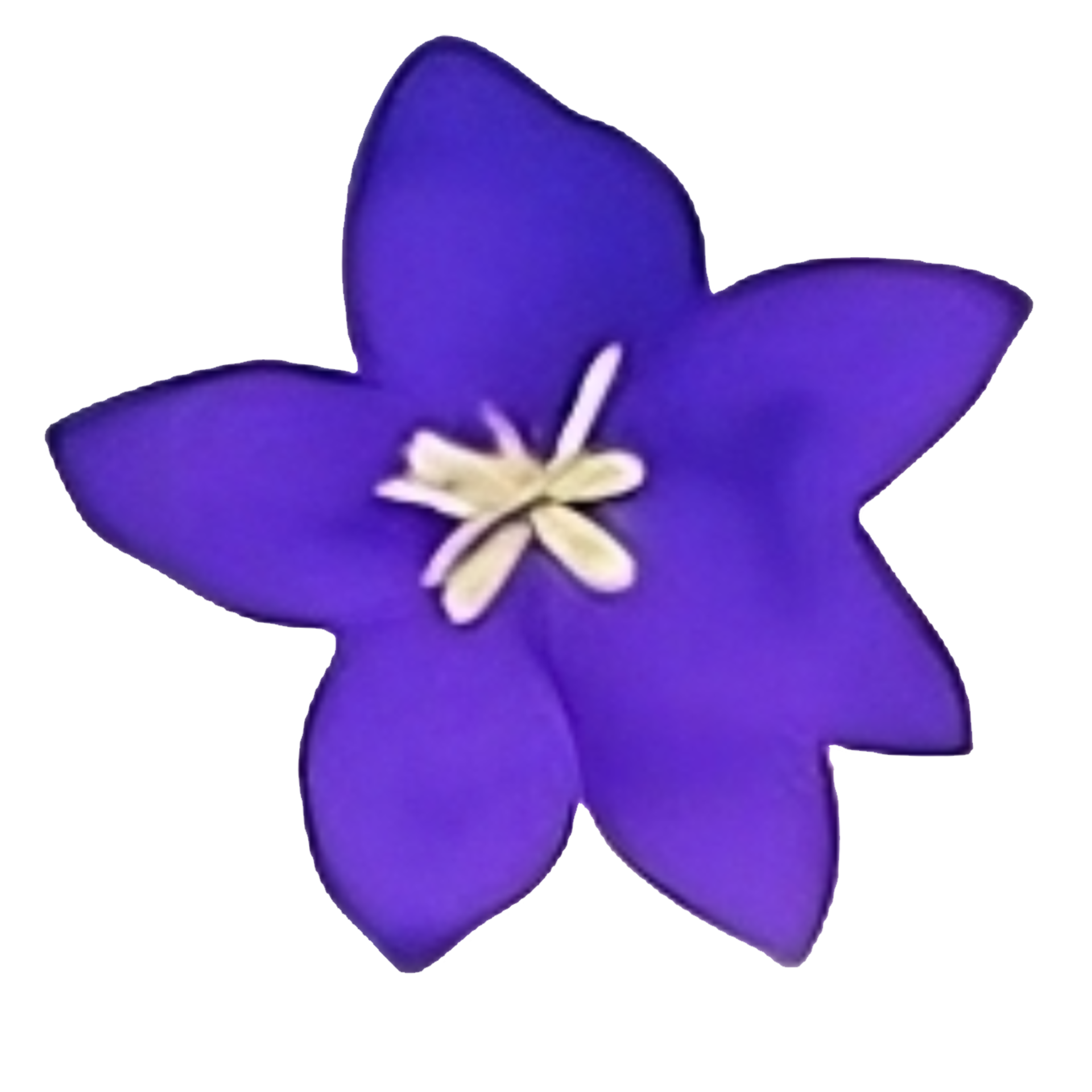 Watercolor flower head clip art 27201967 PNG