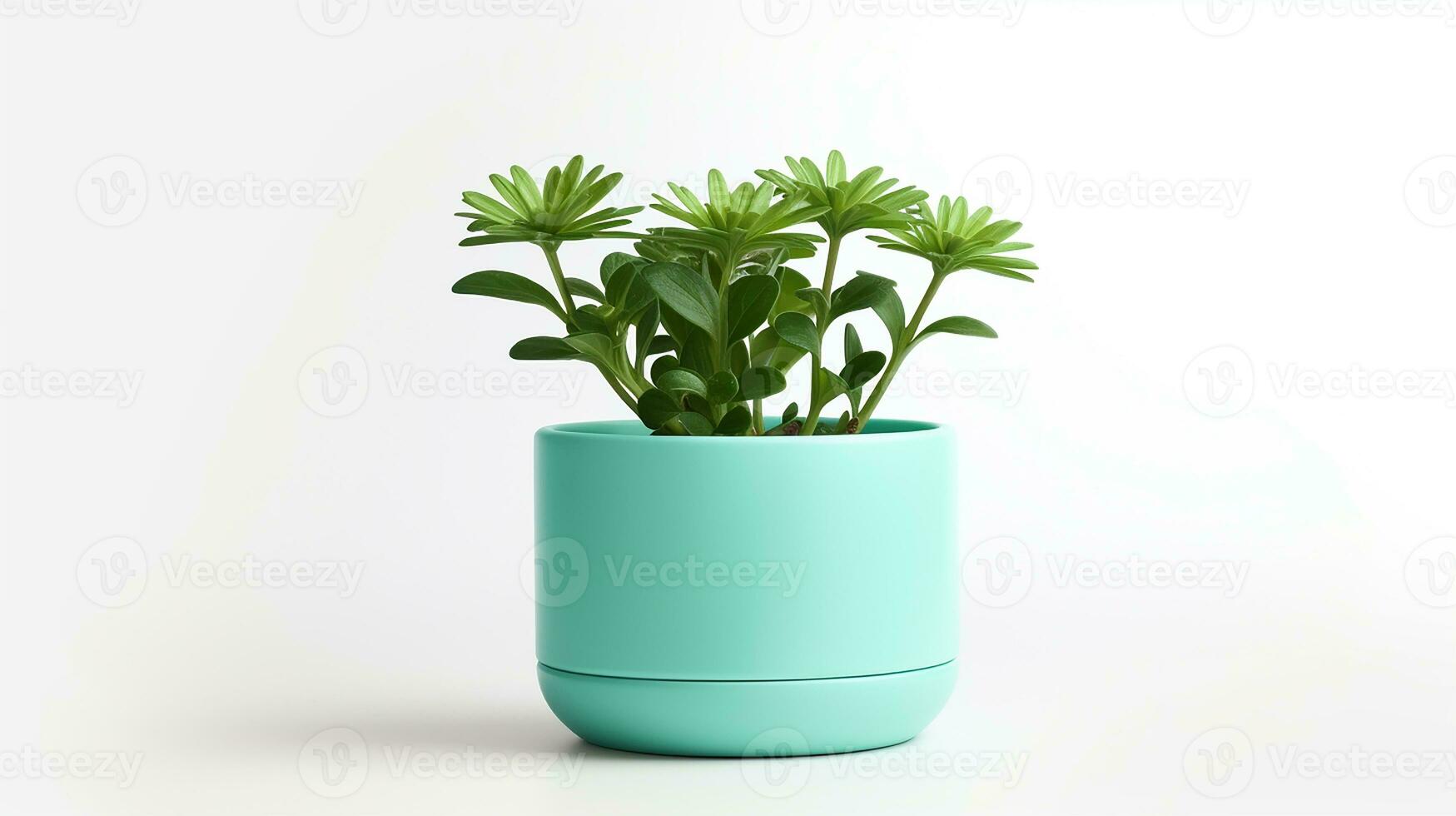 Photo of Chrysopsis flower in pot isolated on white background. Generative AI