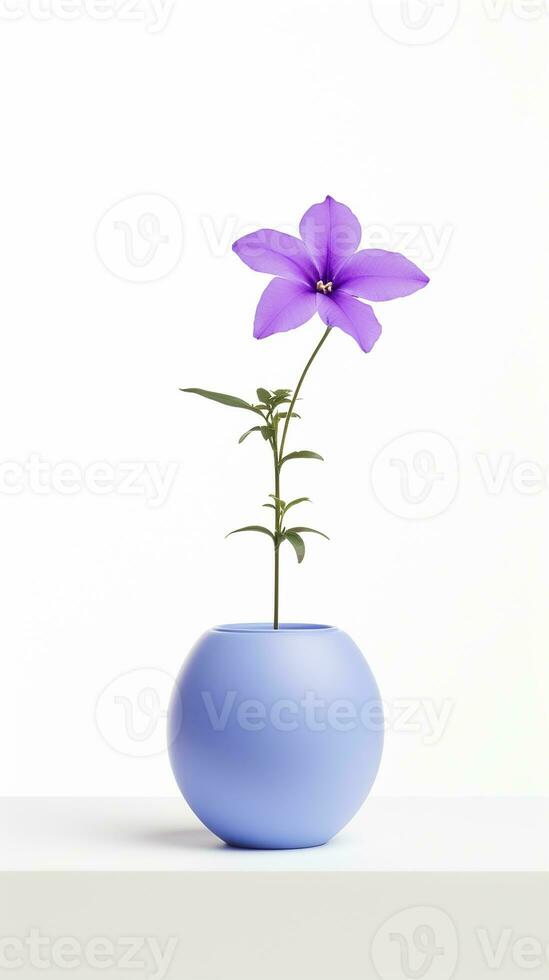 Photo of Balloon flower in pot isolated on white background. Generative AI