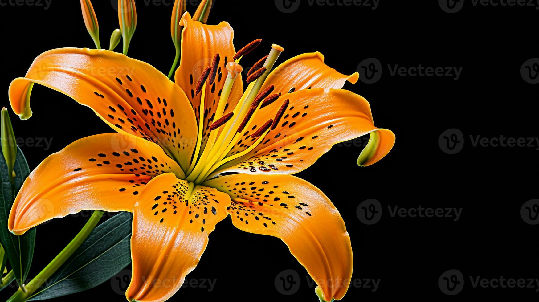 Photo of beautiful Tiger Lily flower isolated on white background. Generative AI