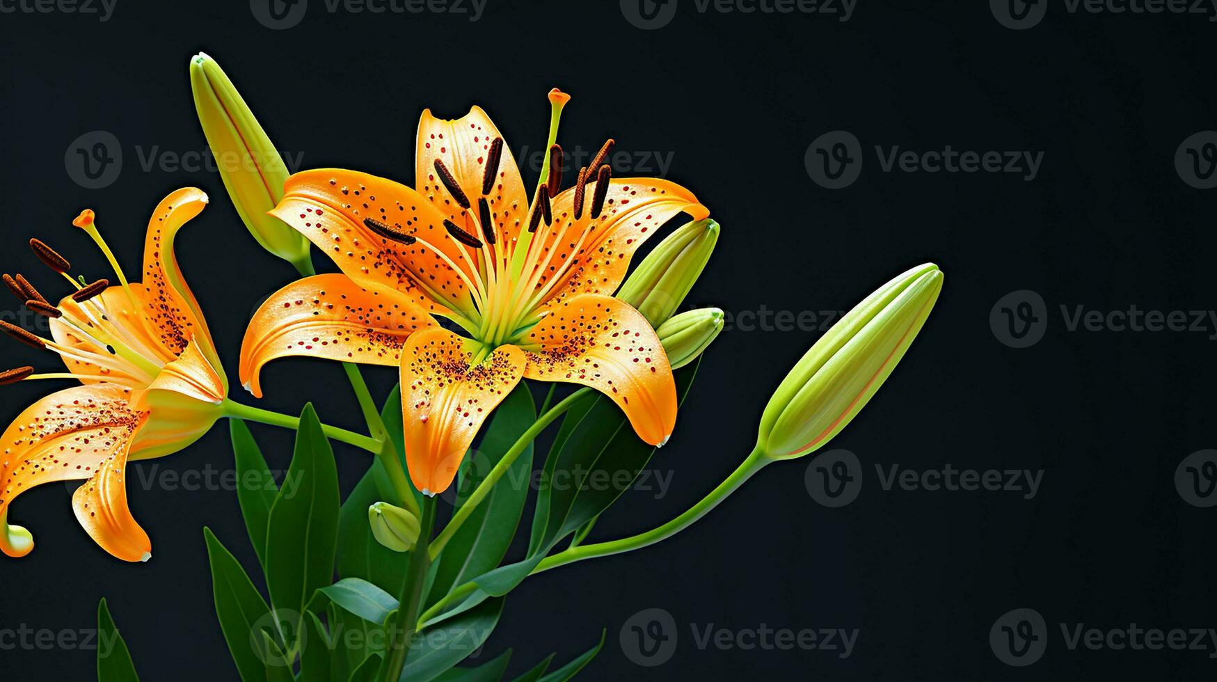 Photo of beautiful Tiger Lily flower isolated on white background. Generative AI