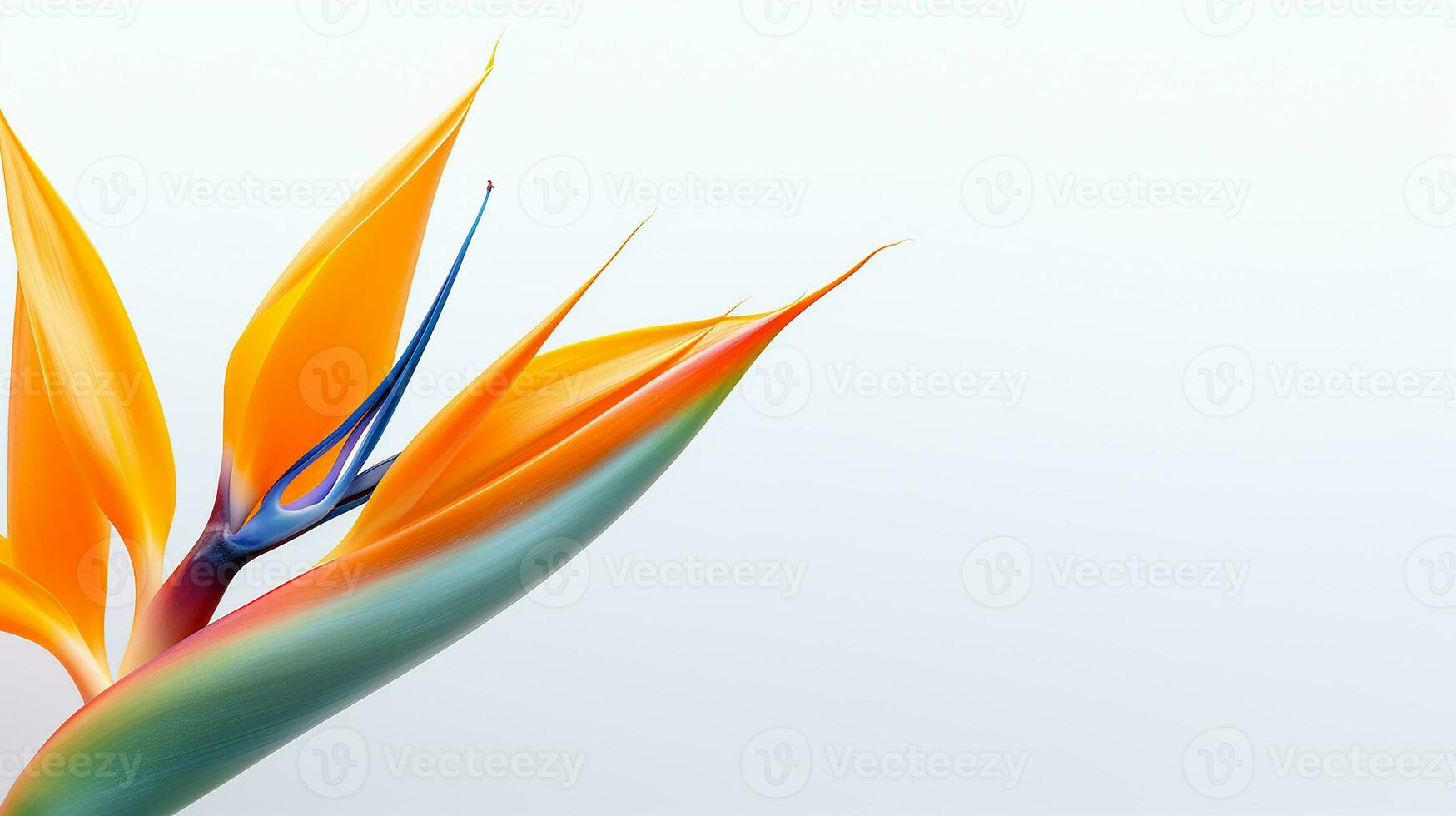 Photo of beautiful Strelitzia flower isolated on white background. Generative AI