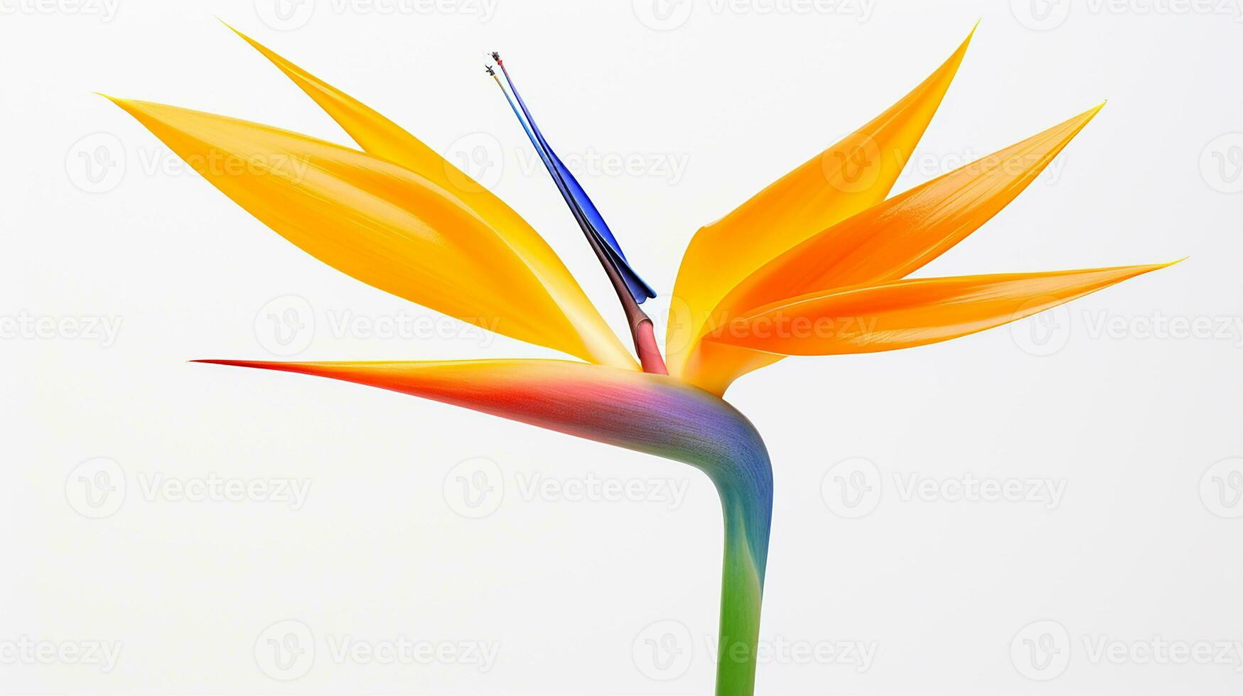 foto de hermosa Strelitzia flor aislado en blanco antecedentes. generativo ai