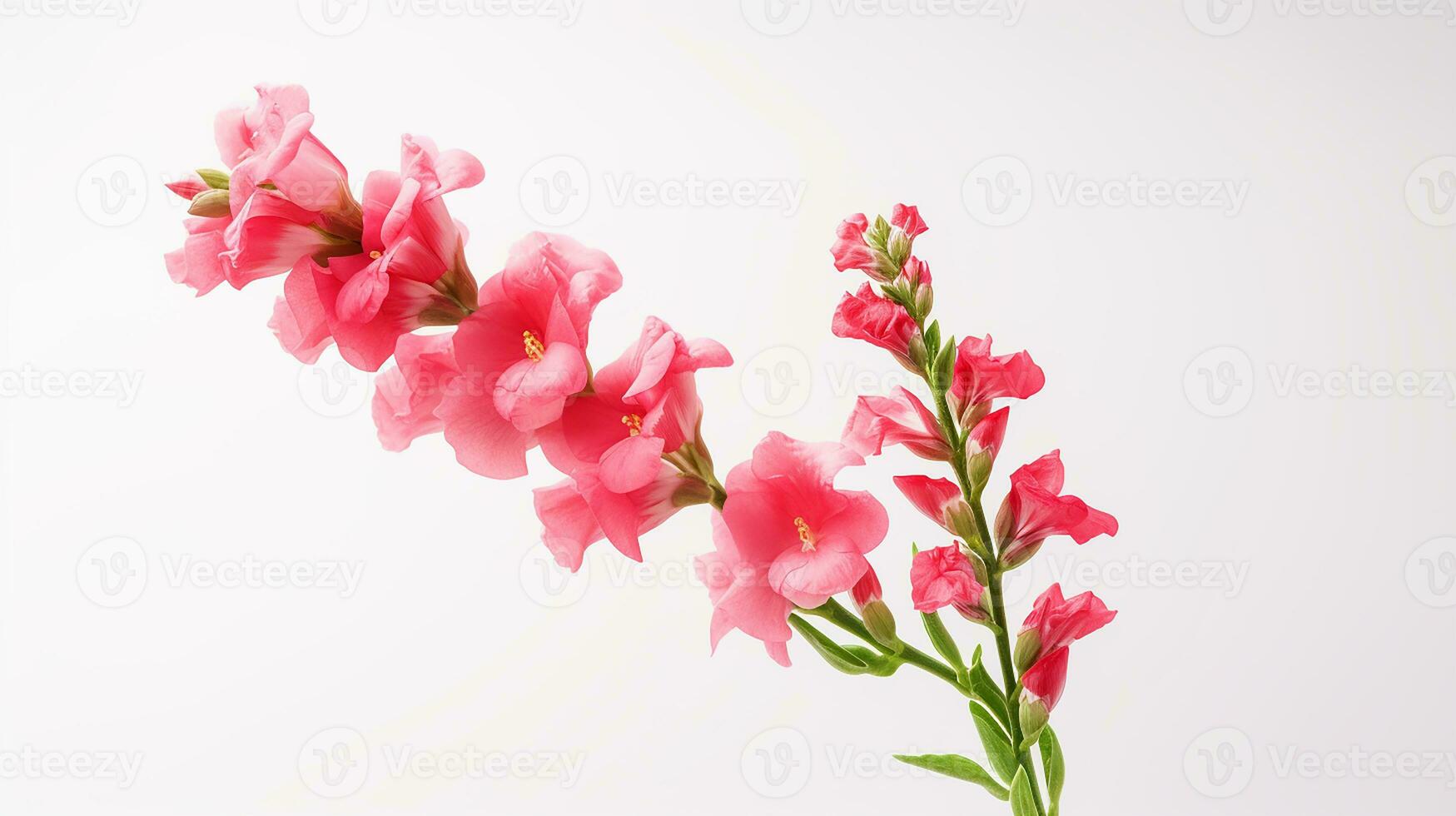 Photo of beautiful Snapdragon flower isolated on white background. Generative AI