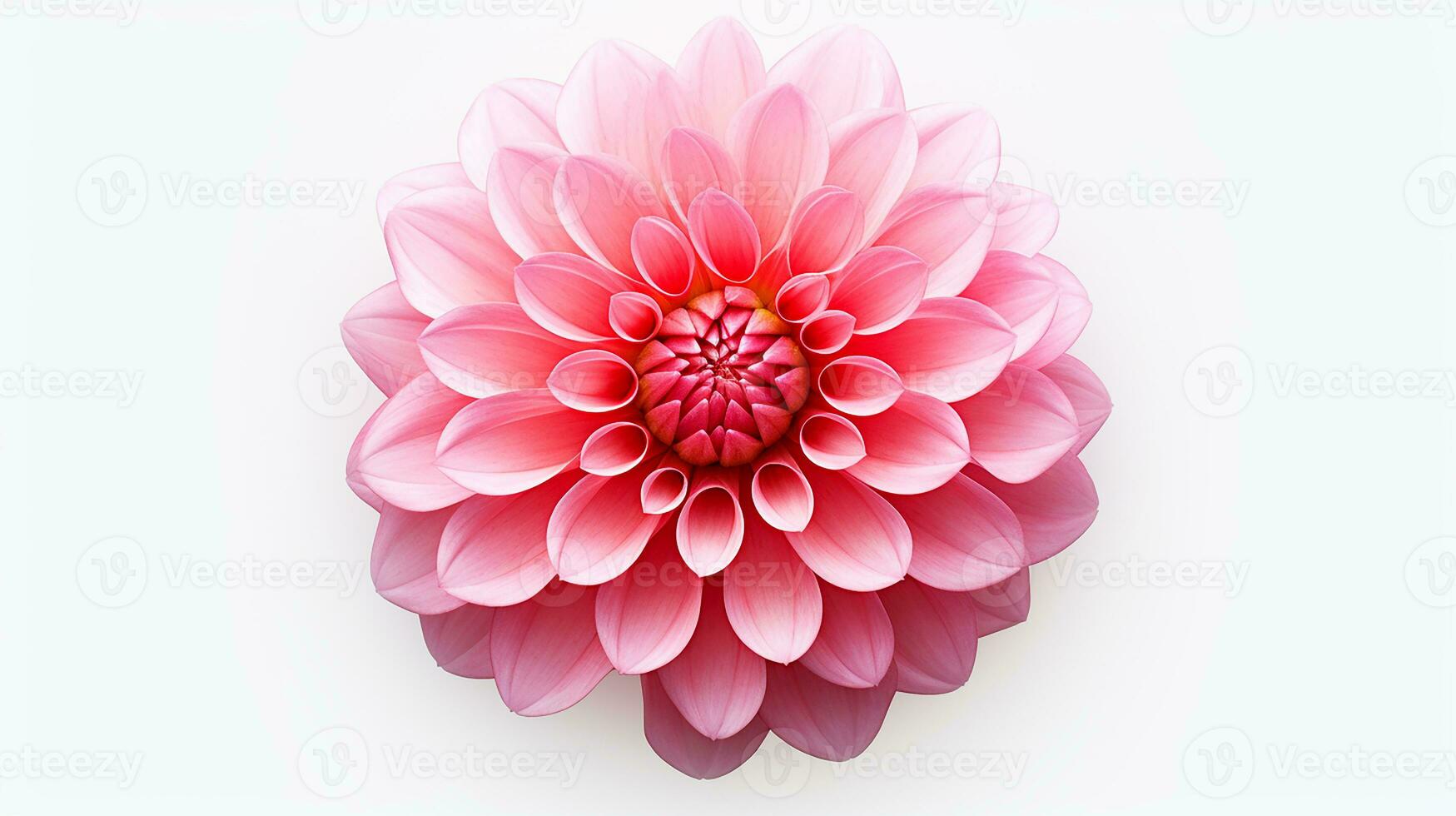 Photo of beautiful Pink flower isolated on white background. Generative AI