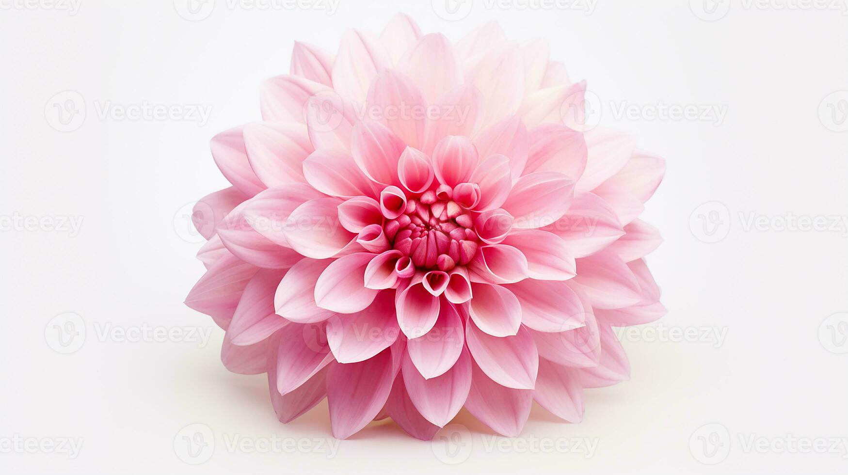 Photo of beautiful Pink flower isolated on white background. Generative AI