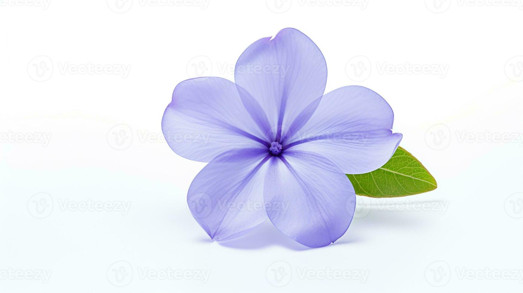 Photo of beautiful Periwinkle flower isolated on white background. Generative AI