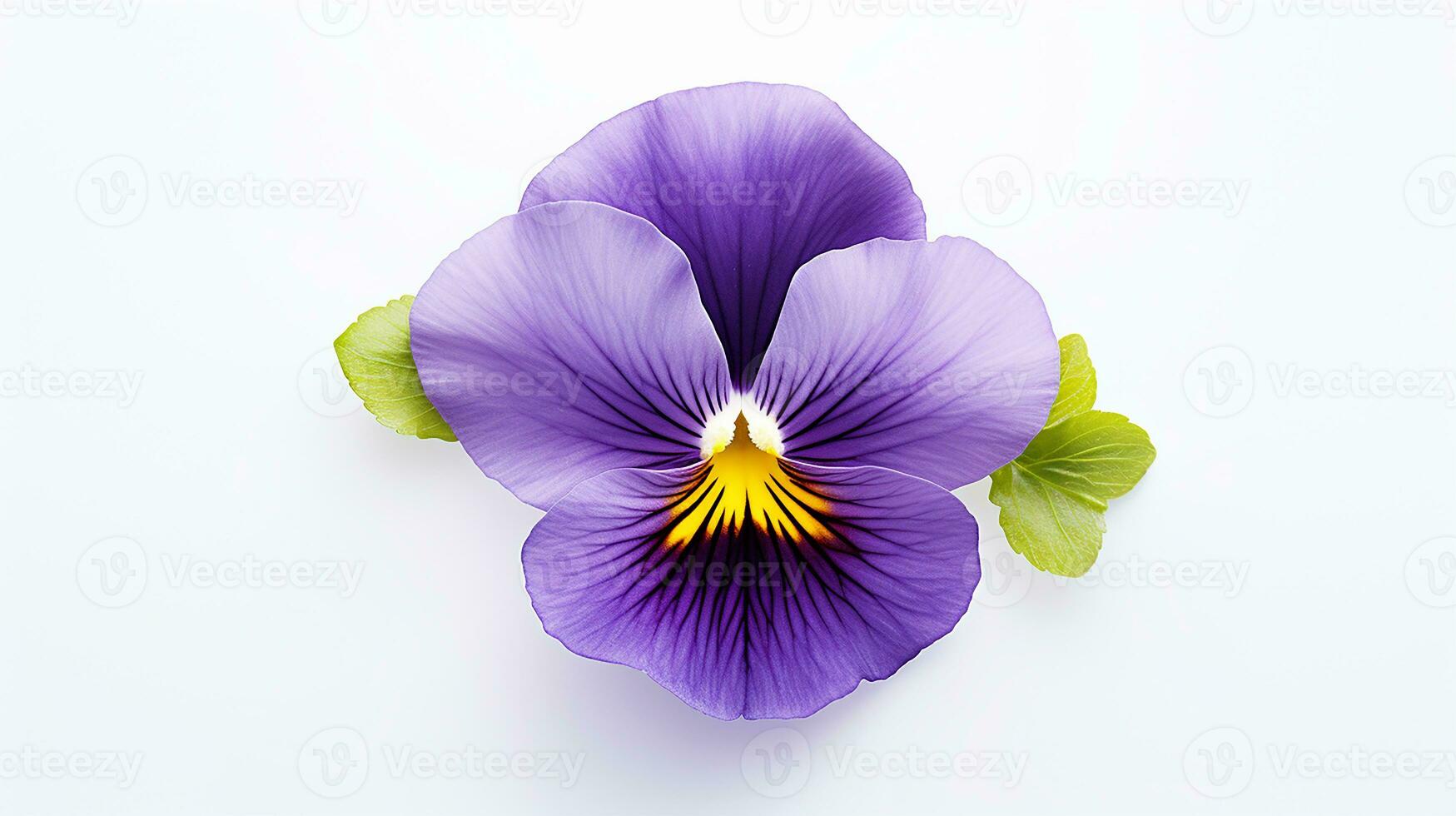 Photo of beautiful Pansy flower isolated on white background. Generative AI