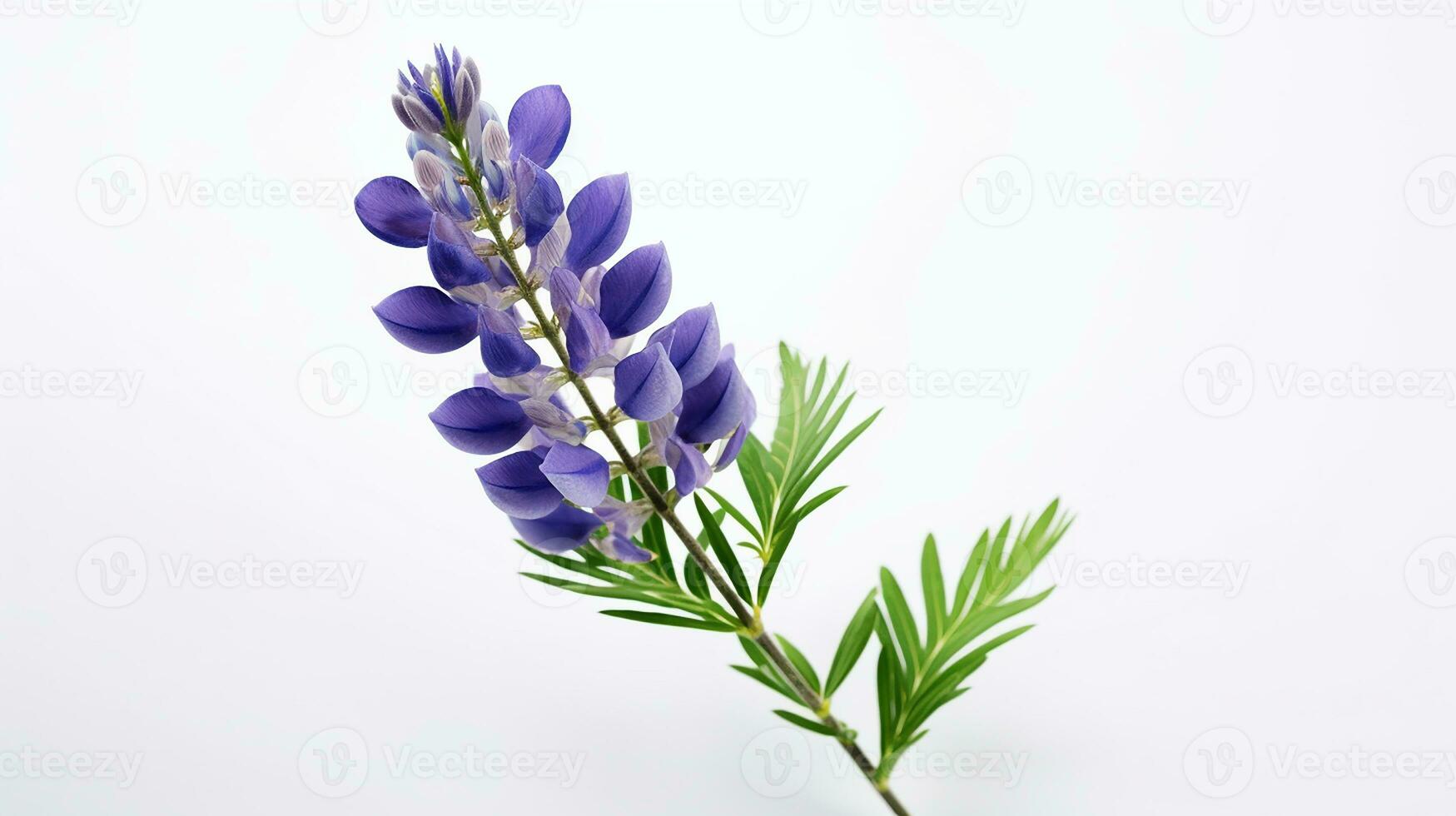 Photo of beautiful Lupine flower isolated on white background. Generative AI