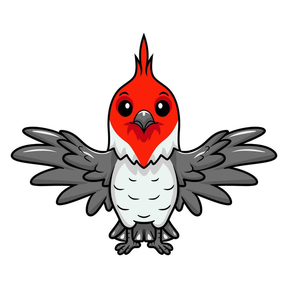 Cute red crested cardinal bird cartoon vector