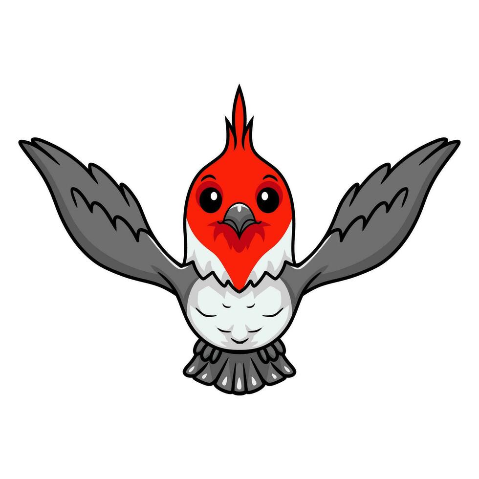 Cute red crested cardinal bird cartoon vector