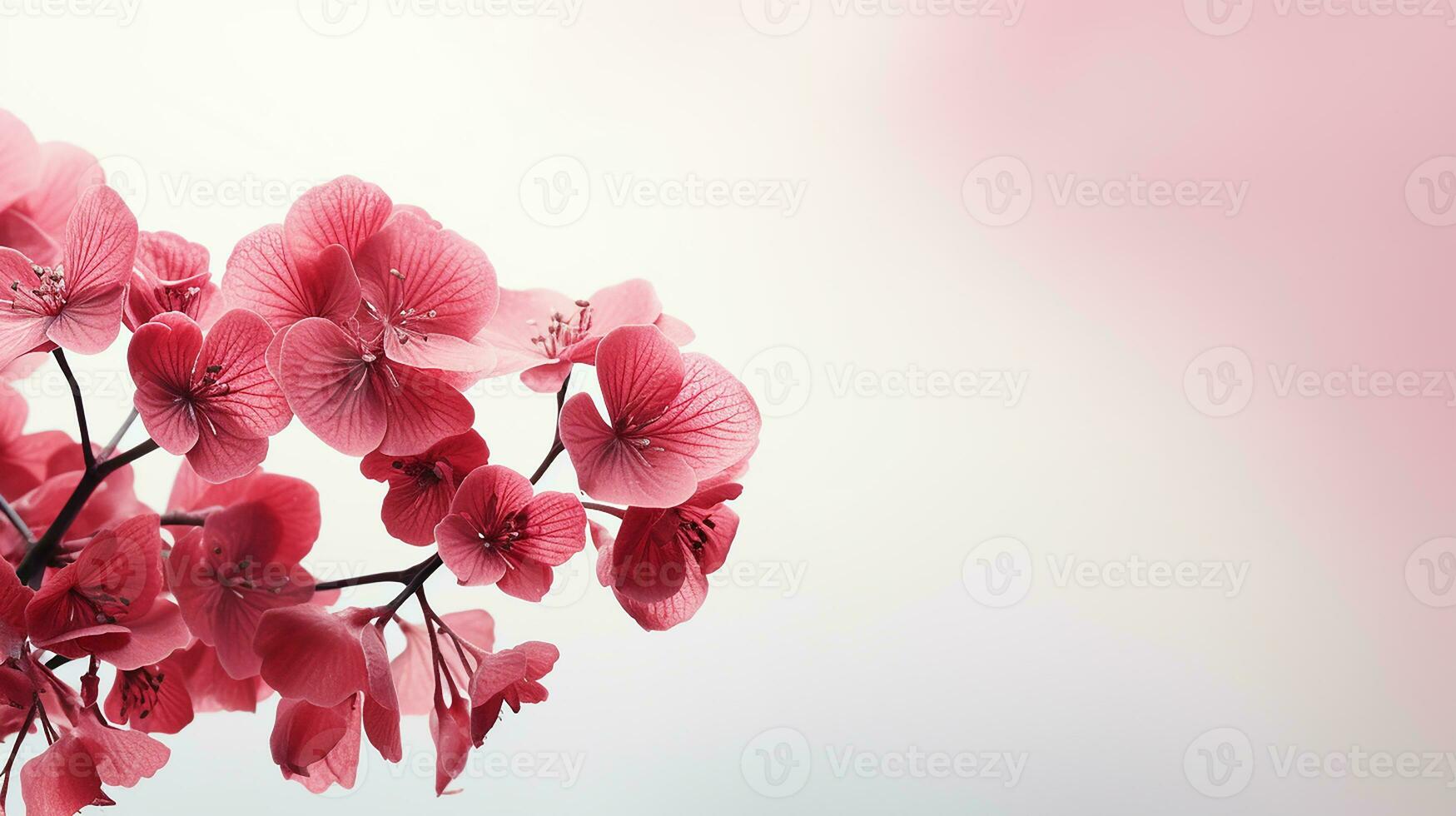 Photo of beautiful Heuchera flower isolated on white background. Generative AI