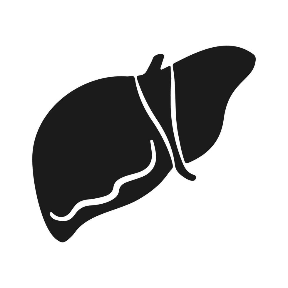 vector hand drawn flat design liver illustration