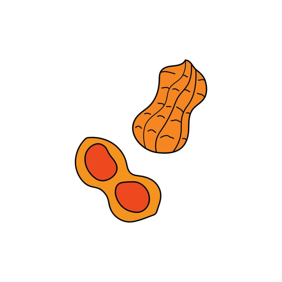 Kids drawing Cartoon Vector illustration peanut icon Isolated on White Background