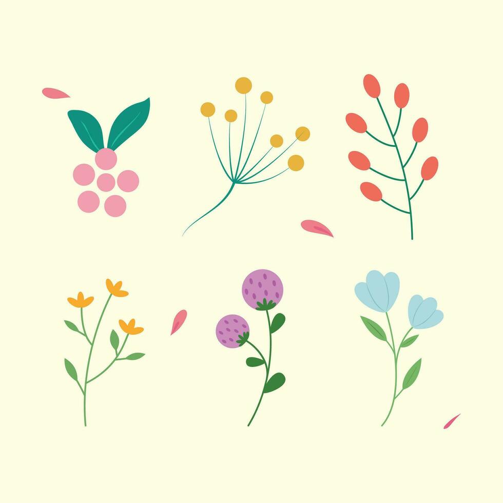 Organic flat flower, leaf collectionn vector