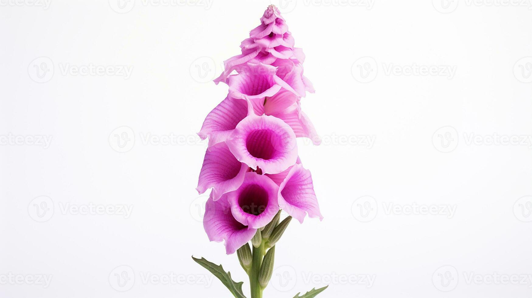 Photo of beautiful Foxglove flower isolated on white background. Generative AI