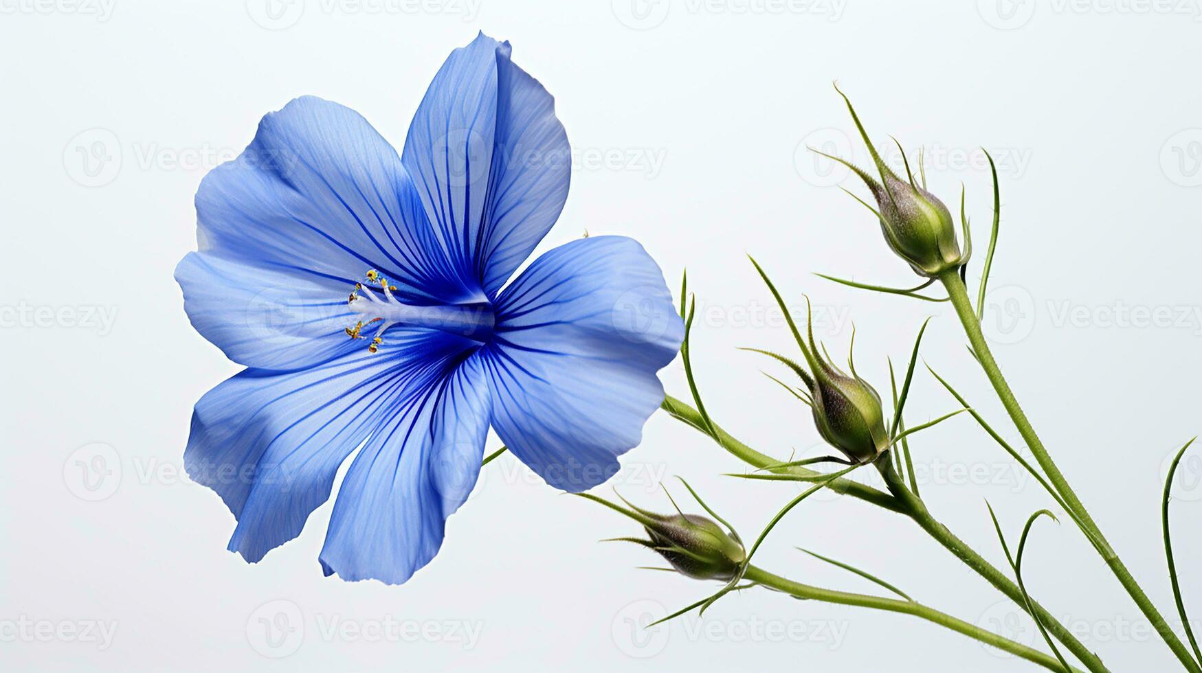 foto de hermosa linaza flor aislado en blanco antecedentes. generativo ai