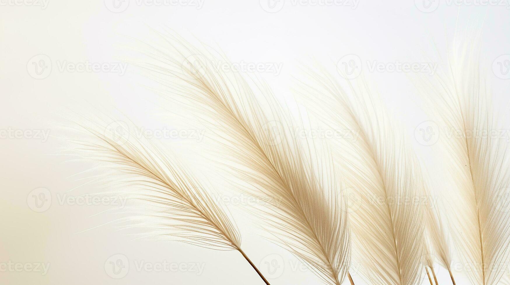 Photo of beautiful Feather Reed Grass flower isolated on white background. Generative AI