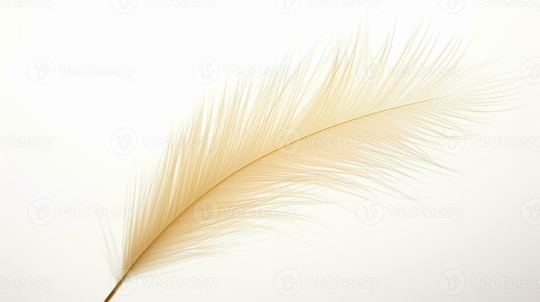 Photo of beautiful Feather Reed Grass flower isolated on white background. Generative AI